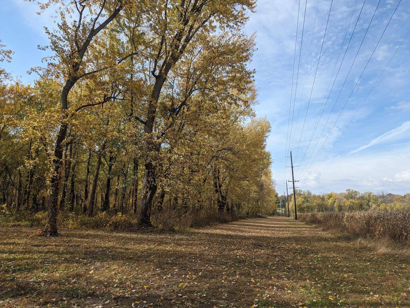 Outdoor recreation and activities at Lazy L Lake near Terre Haute